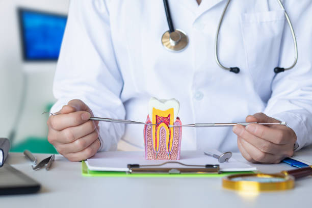 Best Emergency Root Canal Treatment in Soap Lake, WA